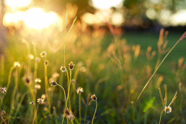 It's the weekend! Show us what you're doing to get outside and soak in some #vitaminD today!