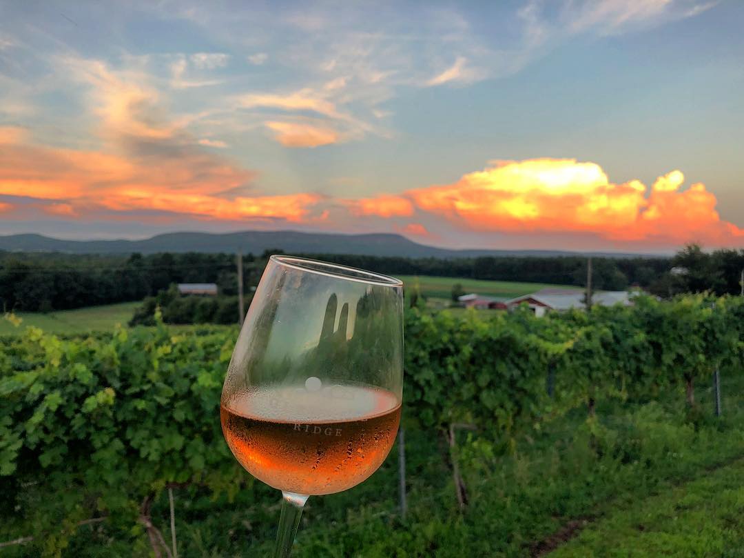 Join us for a sweet summer evening at <a href="/GlendaleRidge/">Glendale Ridge Wine</a> vineyard TONIGHT as we swap songs with <a href="/jimwhenry/">Jim Henry</a>! Local wine 🍷 and food for sale. 6 pm show/$15 cover. It's gonna be a gorgeous night!