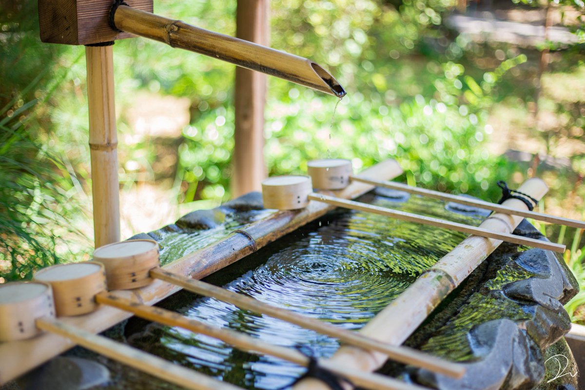 唐突に好きなものを語る 手水鉢大好き。 鹿威し、竹水栓…竹筒から