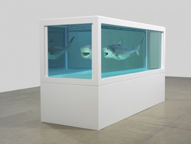 ace_thenorth's tweet photo. You've still got time to see Damian Hirst's tiger shark, David Hockney's Le Parc des Sources or Doctor Who's sonic screwdriver - #WhichWayNorth is on @GNM_Hancock until 9 Sept https://t.co/X62bXe1f7l #ACEsupported @getnorth2018 https://t.co/jNtFDti3OT