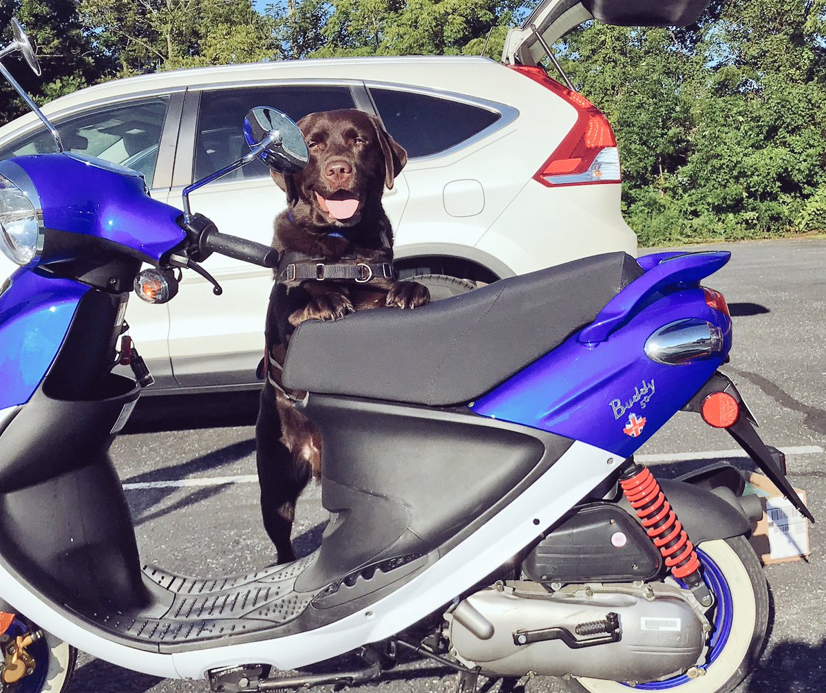 BrodeyNES's tweet photo. Taking a ride on Mr. Vance’s moped. #WeAreNorthern https://t.co/4anuXW56t6