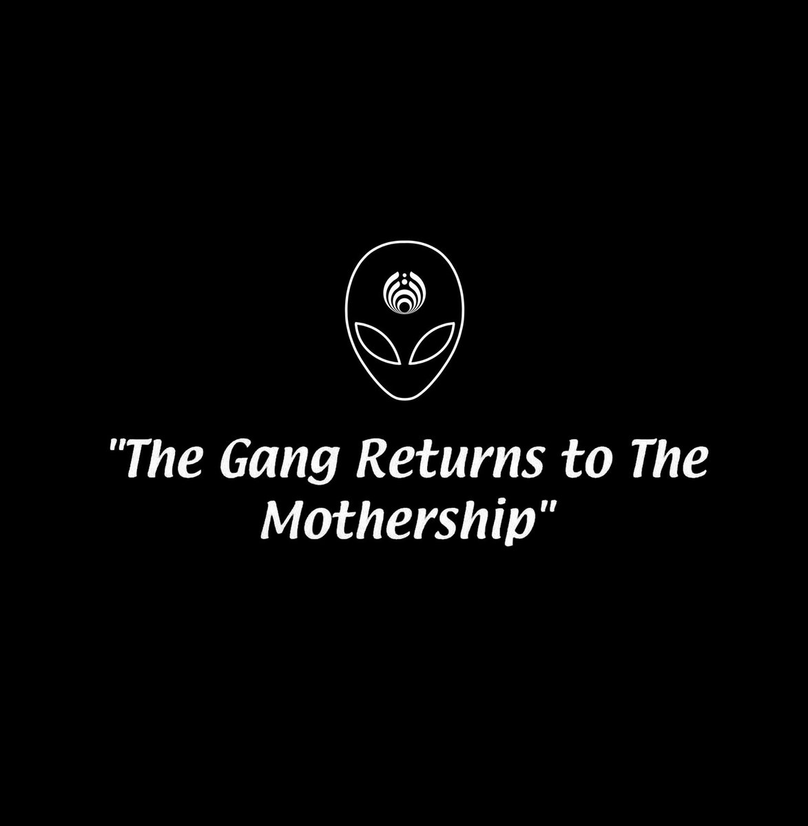 Bassnectar (@bassnectar) on Twitter photo π½π½π½π½πΈπ½π½π½π½
π½π½ #BassCenterXI π½π½
π½π½π½π½π½π½π½π½π½ π½π½π½π½πΈπ½π½π½π½
π½π½ #BassCenterXI π½π½
π½π½π½π½π½π½π½π½π½