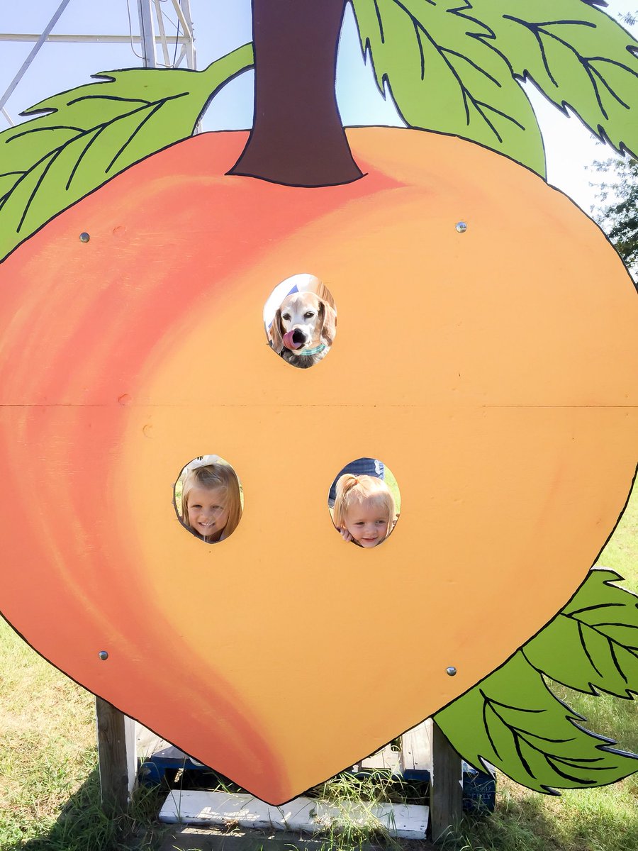 Pit stop on the way to <a href="/TooToughToTame/">Darlington Raceway</a>