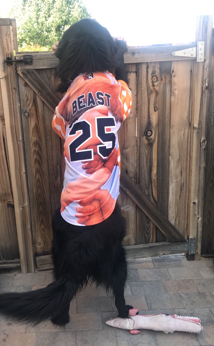 Tonight <a href="/Aces/">Reno Aces</a> fans come to GNF and meet “The Beast” at our Sandlot Night and the final homestand of the 2018 season. Look forward to seeing you out there!!!