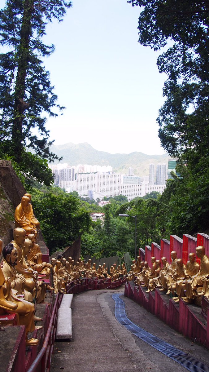 discoverhk's tweet photo. Great photo! 😃 RT @sorenISminamija The view  of Ten Thousand Buddhas Monastery... Good easy workout with nice view... #DiscoverHongKong #hongkong #visithongkong #mijainhk #tenthousandbhuddasmonastery
https://t.co/7F0j0283Pn