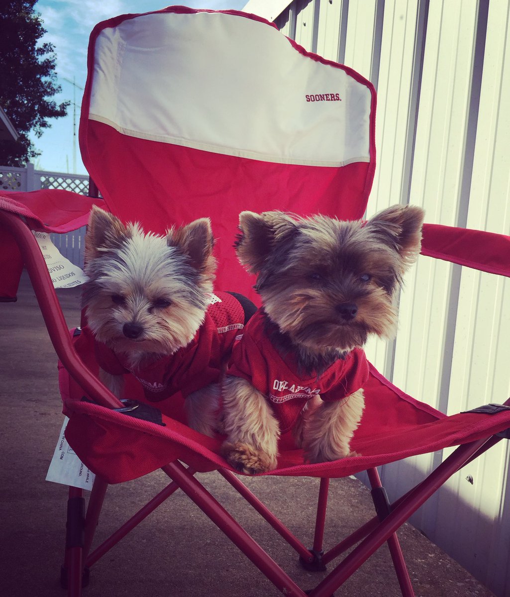 tre0808's tweet photo. Boomer and Sooner aka #yipandyap aka Max and Myles are game day ready!  #boomersooner @ESPNCFB @OU_Football https://t.co/bmybx6oC4z