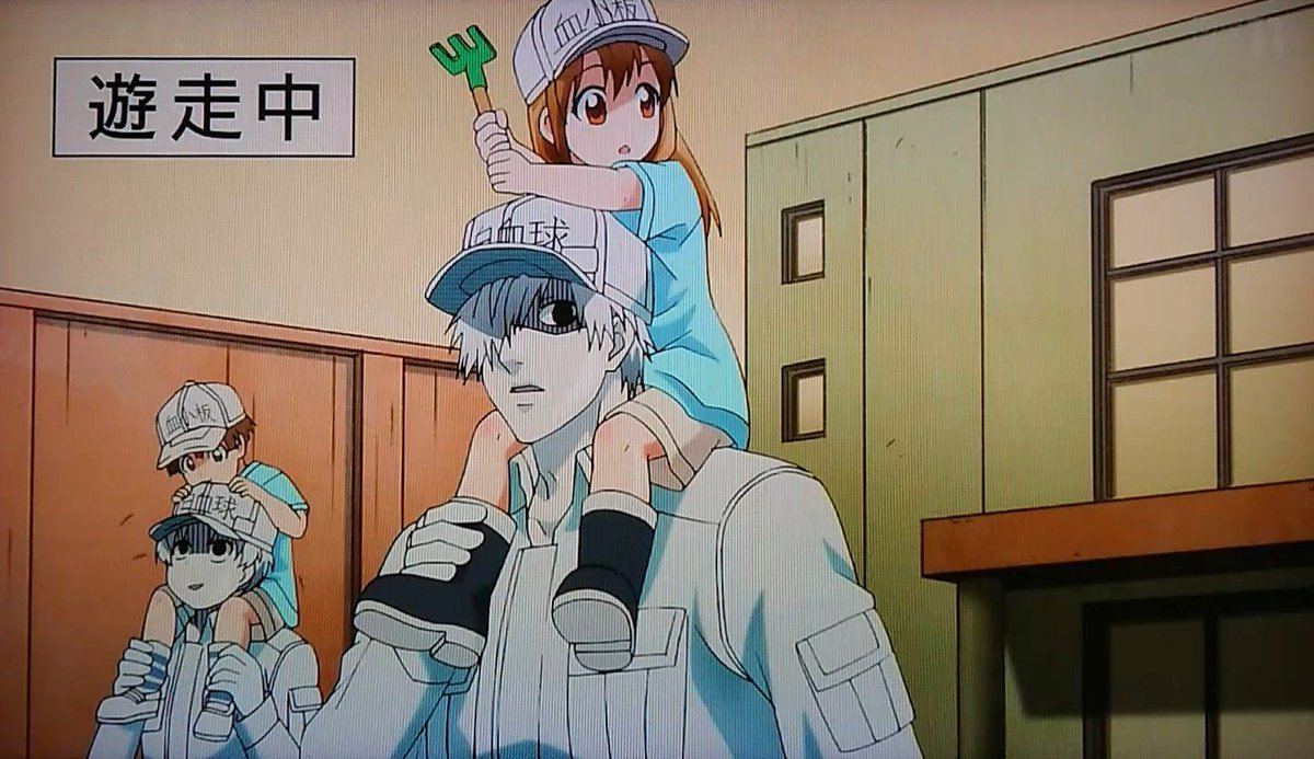 アニメ はたらく細胞 ９話感想ツイートまとめ Togetter