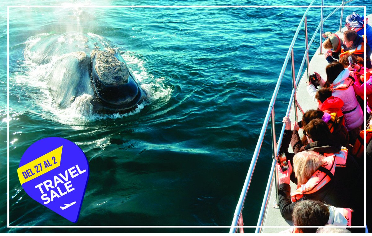 #TravelSale18! Queda 1 dia! No te las pierdas‼️
BALLENAS + PINGUINOS (con Transfer) ow.ly/Ut2H50ijMf4
PAQUETE NAUTICO: BALLENAS + CRUCERO DEL GOLFO ow.ly/fjSS50ijMfN 
AVISTAJE NOCTURNO DE BALLENAS (NOVEDAD TEMPORADA 2018!) ow.ly/RjG750ijMg5 
📷Hernán Romero