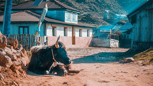 itsmedebanjan's tweet photo. Rest in #peace
#sonycamera #sonyalpha #alphacamera #mirrorless #sonyalphain #sony #apsc #dslrofficial #sonyalphatr #ig_color #ig_mirrorless #ig_photooftheday #ig_shutterbugs #ig_snapshots #ig_captures #ig_masterpiece #igtravel #sandakphu #likeforfollow … https://t.co/bVVjyeLbm5 https://t.co/qzFscUQuTX