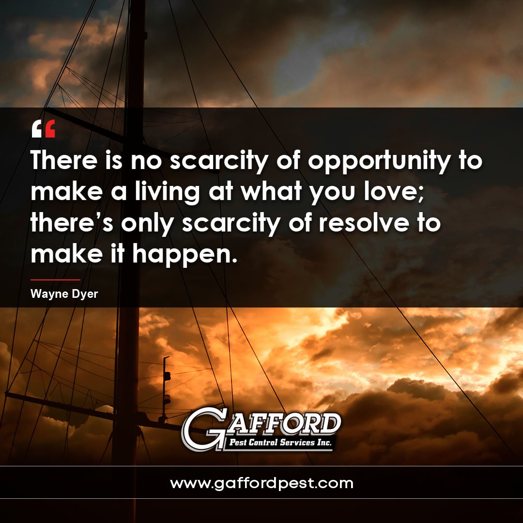 Gafford Pest Control (GaffordPest) Twitter