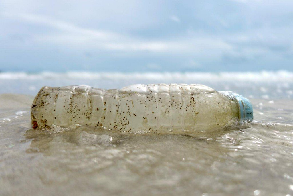 Reuters's tweet photo. Pope urges action against 'endless fields' of plastic in oceans https://t.co/rO1VIJ6SGT https://t.co/rusfl7tIiG