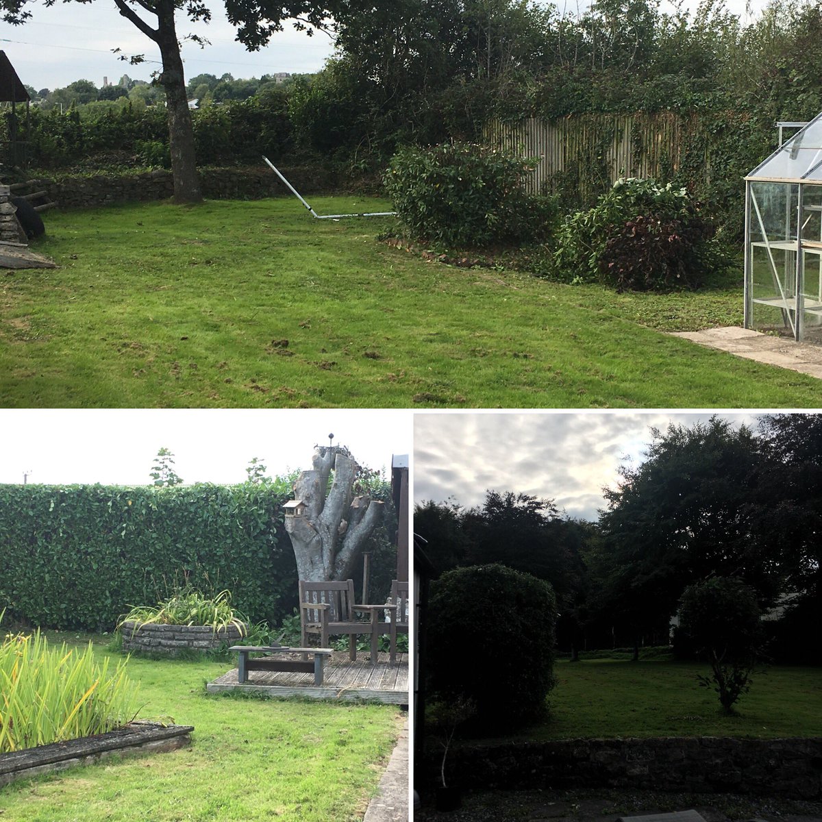 h14prt's tweet photo. 6 hours trimming hedges. #hedges #cutting #summerjobs #garden #needsomewine https://t.co/6HSMsHSplg