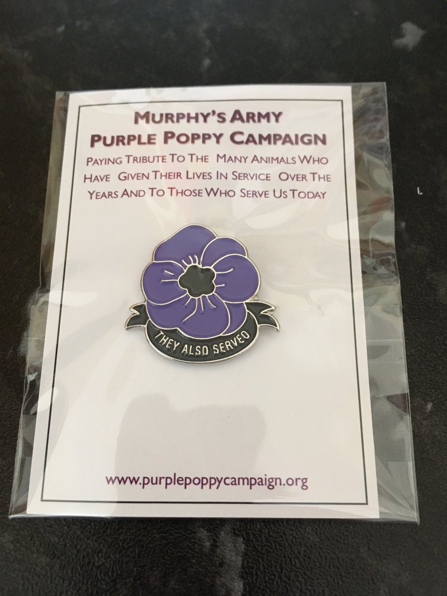 kirstyholmes191's tweet image. @MA_PurplePoppy Thanks for my pin, arrived today! #PurplePoppyCampaign #murphysarmy