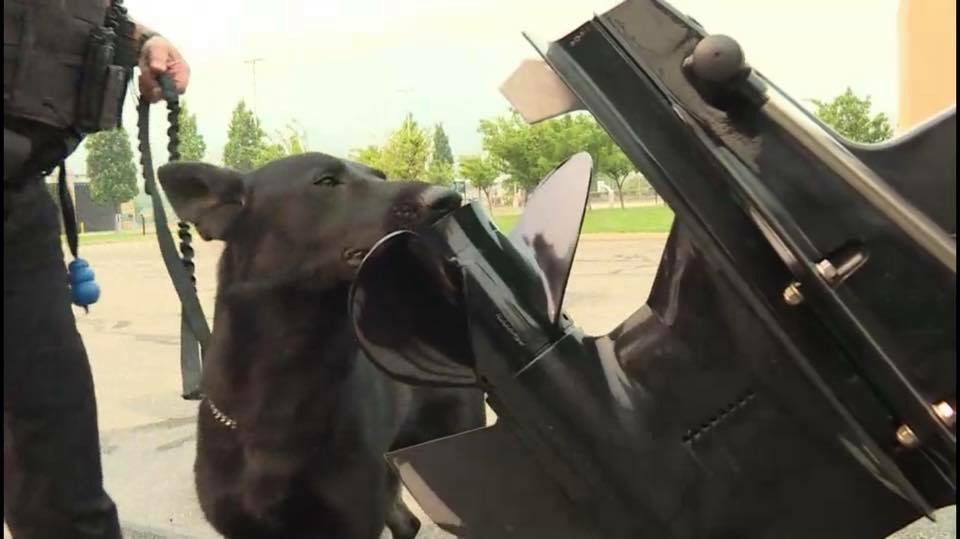 Ok_WaterBoard's tweet image. #BClongweekend is here - #DontMoveAMussel! 20 mussel-fouled watercraft intercepted coming into B.C. #CleanDrainDry 
facebook.com/13545188648567…