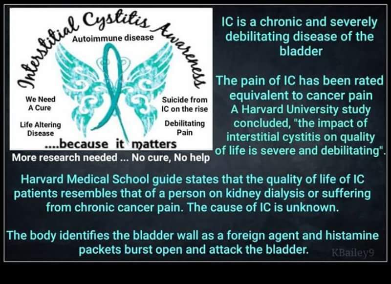 1st Sep urology awareness
Big shout out to those suffering with this cruel disease of the bladder and here's hoping for a cure for each and every one of you. My only  cure was bladder removal .#urologyawareness