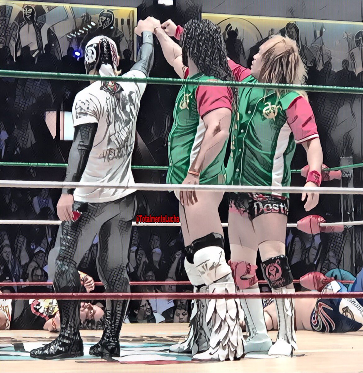 Totalmente Lucha tweet media