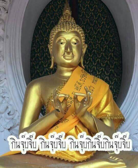 ฝากข้อความผ่านเหมียว😸 tweet media