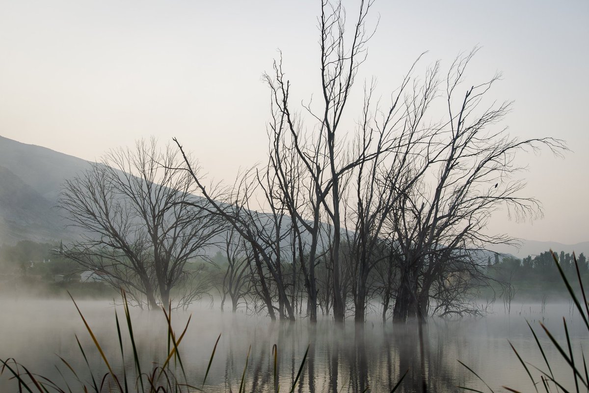 Una preciosa mañana de niebla en la laguna de Padul
<a href="/AytoPadul/">Ayuntamiento Padul</a> <a href="/GranadaenFotos/">Granada en Fotos</a> <a href="/PlanesGranada/">GRANADA</a> <a href="/TValleLecrin/">TurismoValledeLecrin</a> <a href="/Meteoralia/">El Tiempo</a> <a href="/lasextameteo/">La Sexta Meteo</a>