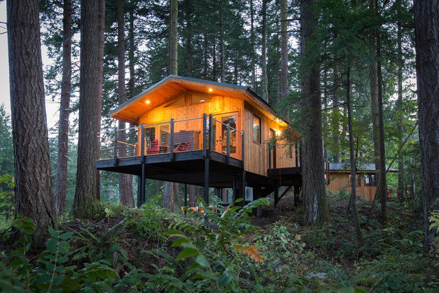 ArchDigest's tweet photo. 7 eco-luxe treehouses you will want to stay in: https://t.co/9upJHoyZHg https://t.co/8LrPOfd7XQ