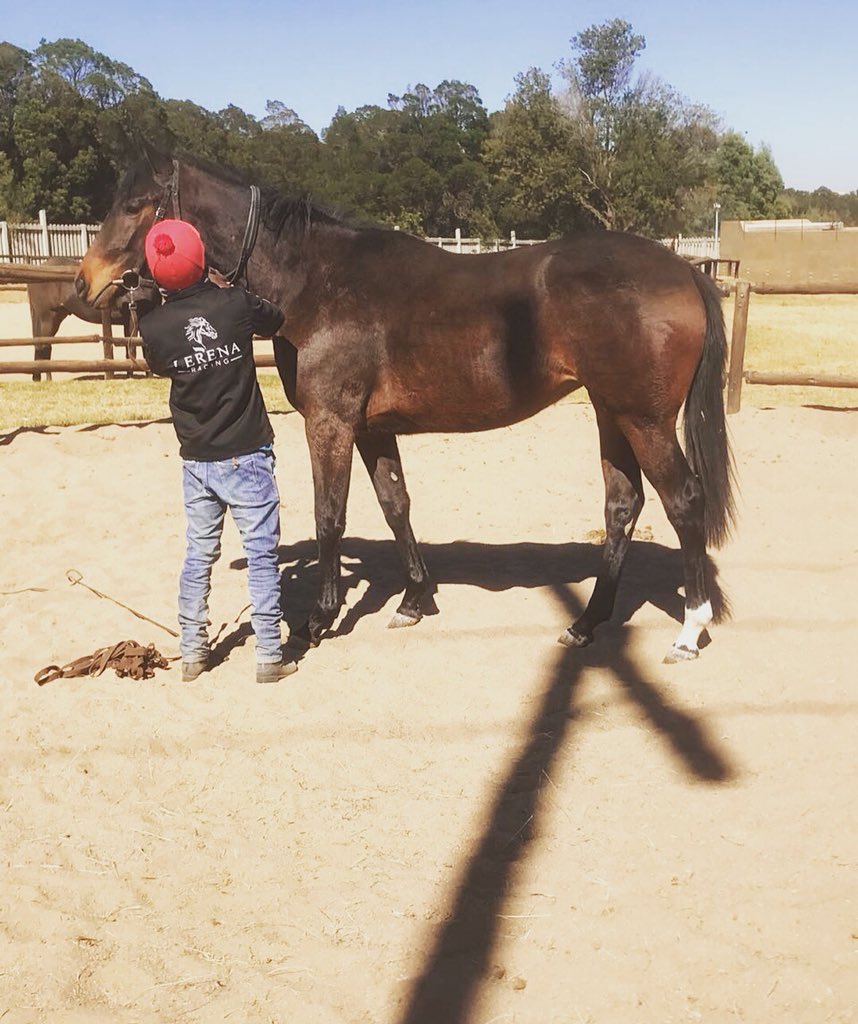 My morning well spent at @lerenaracing stables 🏇🏻 Hanging out with our new 2y.o babies 🐎 Shares are still available in our colt by Crusade &amp; our filly who’s by Seventh Rock . Both of these prospects were purchased for extremely reasonable prices. Send a DM for more details