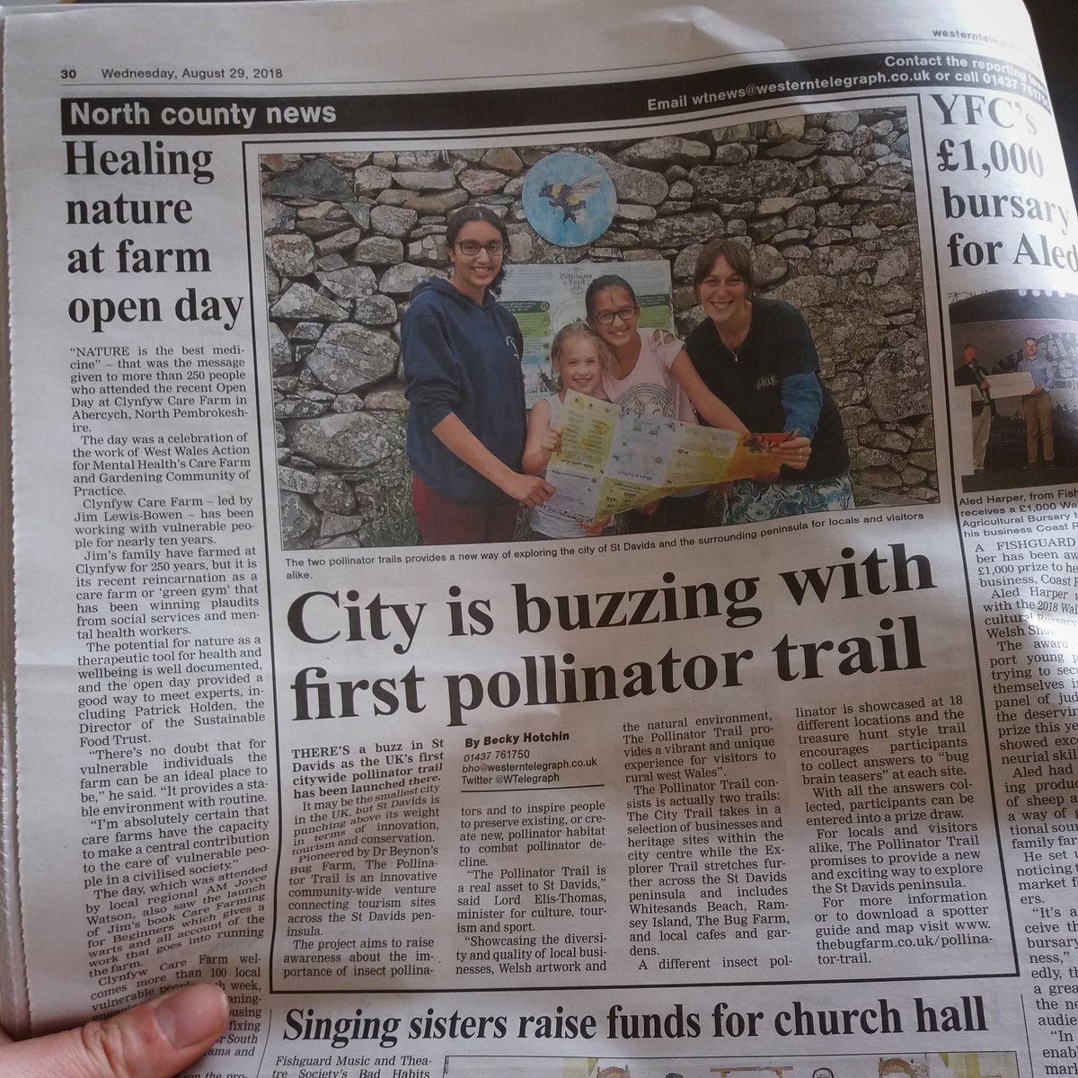Dr Beynon's Bug Farm (@thebugfarmuk) on Twitter photo Great to see the St Davids Pollinator Trail launch in this week's Western Telegraph #pollinatortrail #StDPT #pollinators #insects #wildlife #stdavids #tyddewi #pembrokeshire #sirbenfro #wales #cymru #gwladgwlad #findyourepic <a href="/visitwales/">Visit Wales 🏴</a> <a href="/BioSolEcology/">BioSol Ecology</a> <a href="/VisitPembs/">Visit Pembrokeshire 🏴</a> <a href="/StDavidsInfo/">St Davids Peninsula Tourist Association</a> Great to see the St Davids Pollinator Trail launch in this week's Western Telegraph #pollinatortrail #StDPT #pollinators #insects #wildlife #stdavids #tyddewi #pembrokeshire #sirbenfro #wales #cymru #gwladgwlad #findyourepic <a href="/visitwales/">Visit Wales 🏴</a> <a href="/BioSolEcology/">BioSol Ecology</a> <a href="/VisitPembs/">Visit Pembrokeshire 🏴</a> <a href="/StDavidsInfo/">St Davids Peninsula Tourist Association</a>