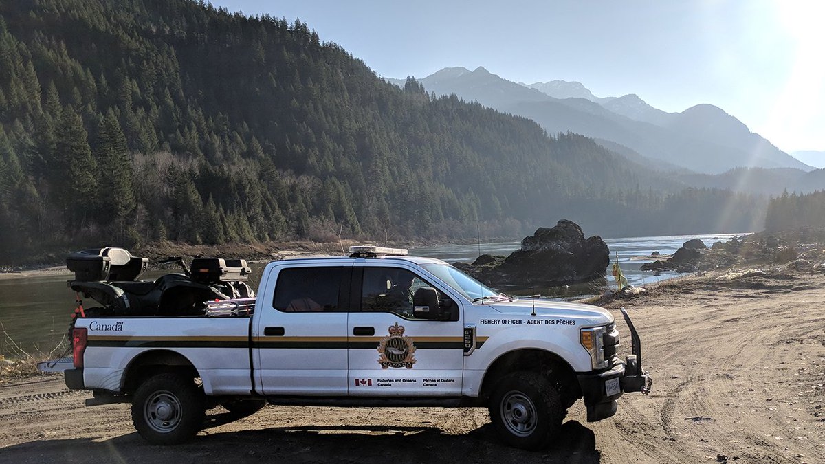 Wow! In just one day last week, our #FisheryOfficers on the #FraserRiver seized 10 illegal nets, finding &amp; releasing sockeye, chinook, steelhead and even 2 sturgeon! Help us protect our natural resources – report illegal acts at 1-800-465-4336. ow.ly/VRCm30lDKYs