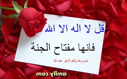 لا إله إلا الله تشرح بها الصدور🌹