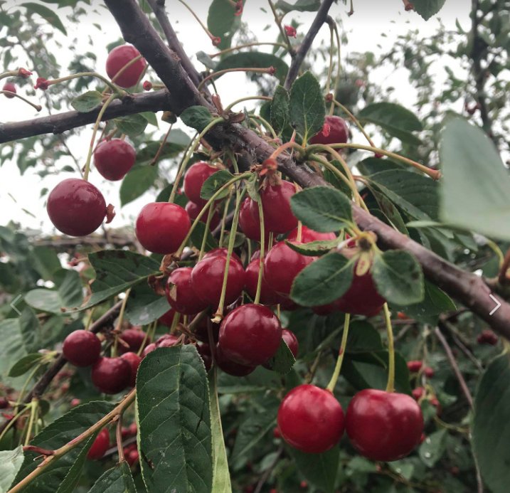 Winteringham Fields tweet media