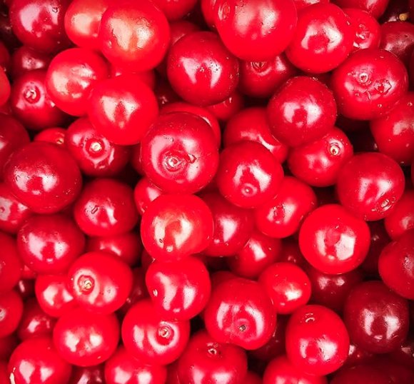 Winteringham Fields tweet media