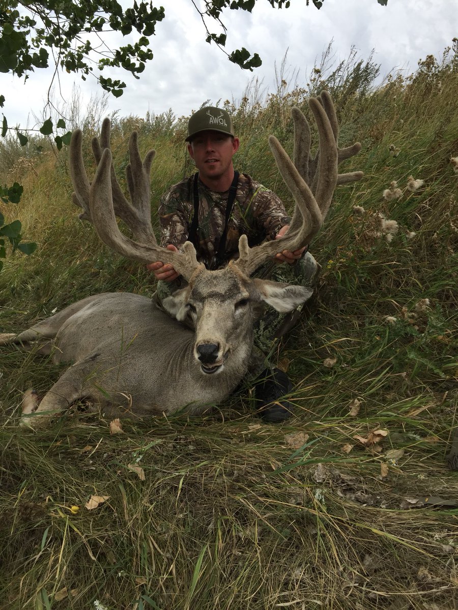 AWOL Outdoors tweet media