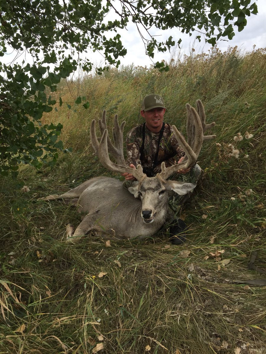 AWOL Outdoors tweet media