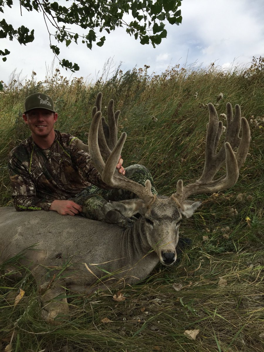 AWOL Outdoors tweet media