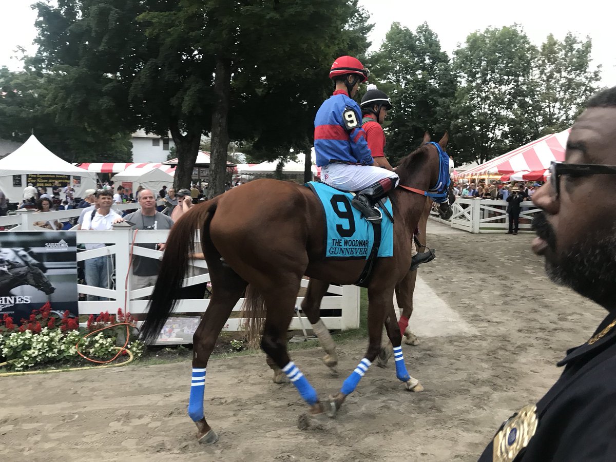 pattiannreeves's tweet image. @ASanoRacing great run for #Gunnevera