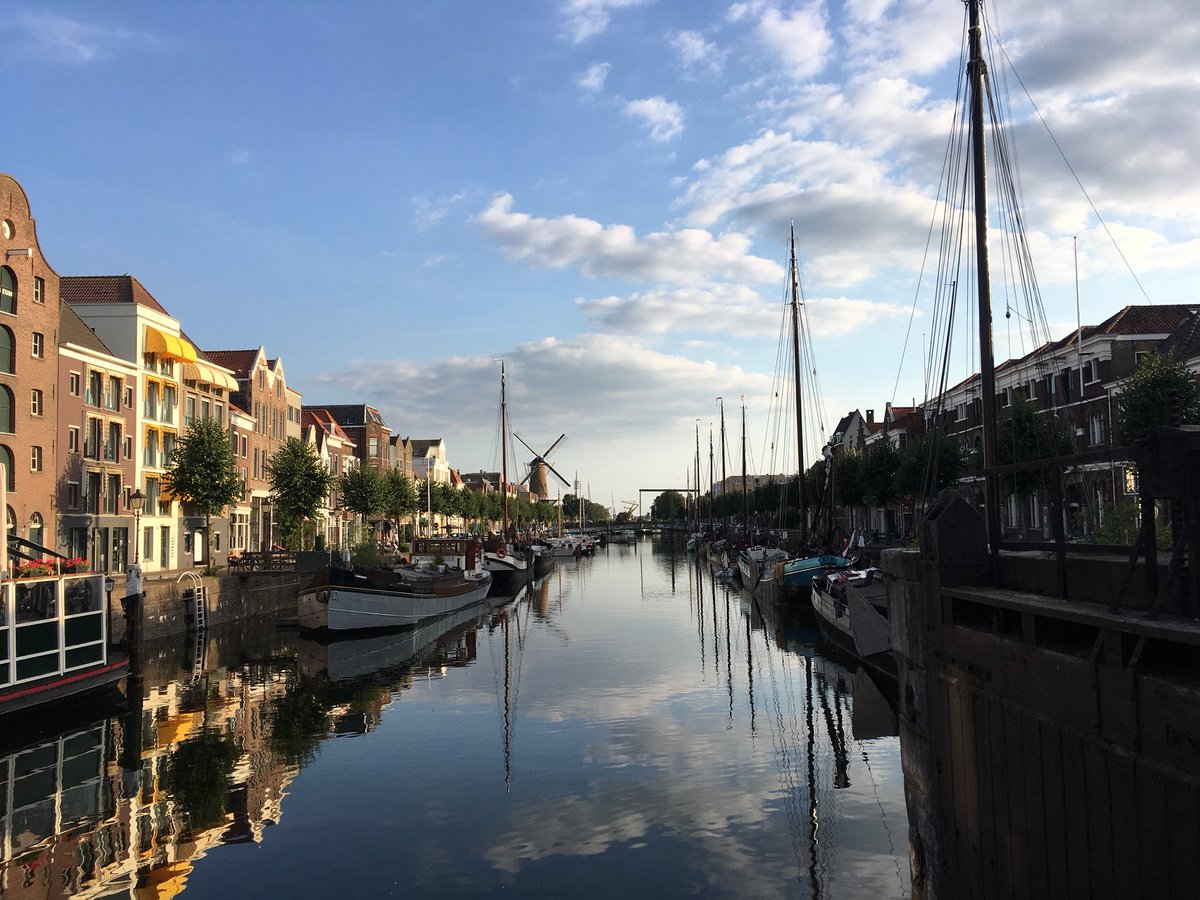 Antonella Radicchi, PhD tweet media