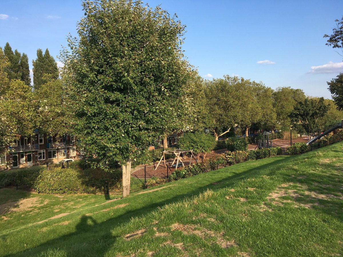 Antonella Radicchi, PhD tweet media