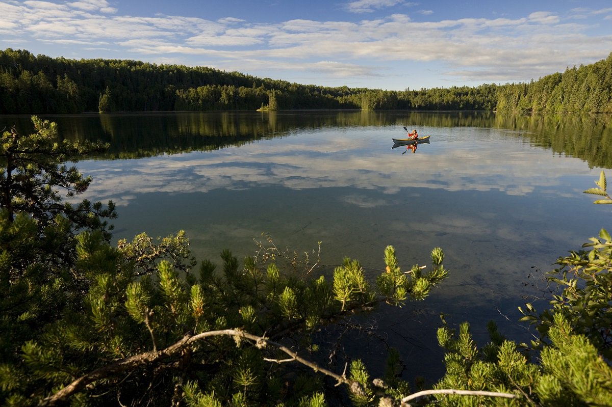 OntarioParks's tweet photo. Want to follow your favourite park on social media? Here's the full list of park accounts: https://t.co/7UJBJ8ngSV https://t.co/x4TM851qBE