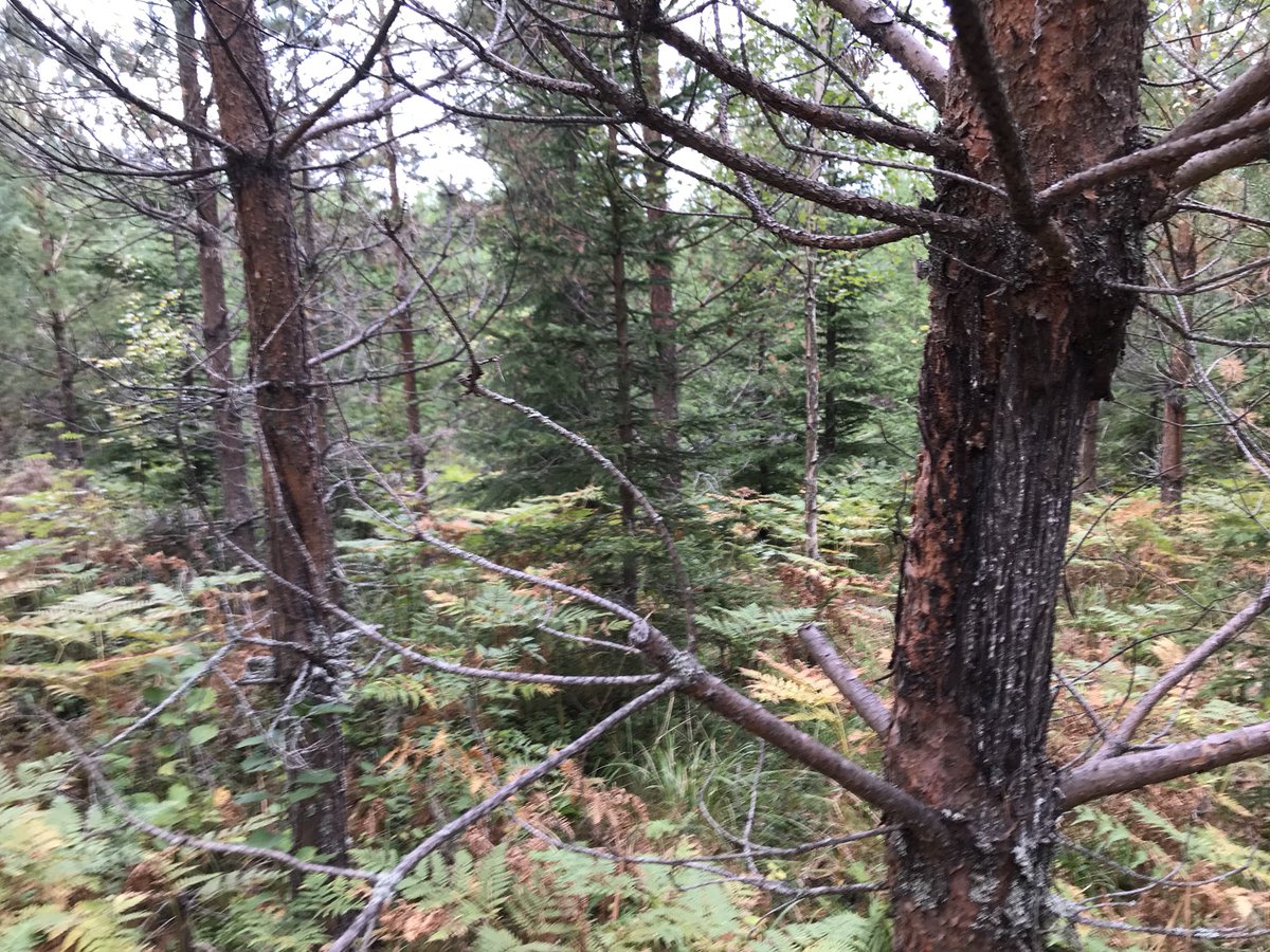 Useimmat aistillinen blowjobs