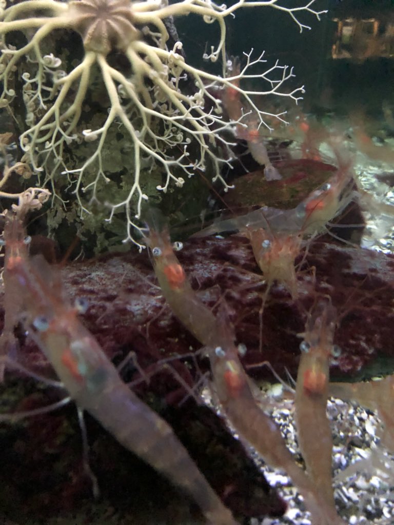 Découverte Monde tweet media