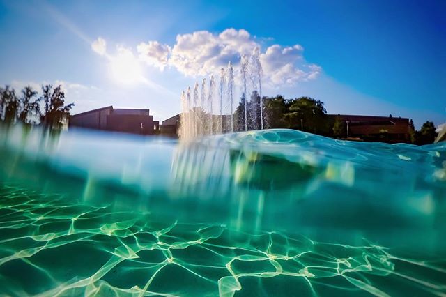 WesternMichU's tweet photo. Enjoy the extended weekend and soak up the sun #aroundWMU #aroundkzoo #MillerFountain #WMUisHome https://t.co/yTiS8Y66ZG