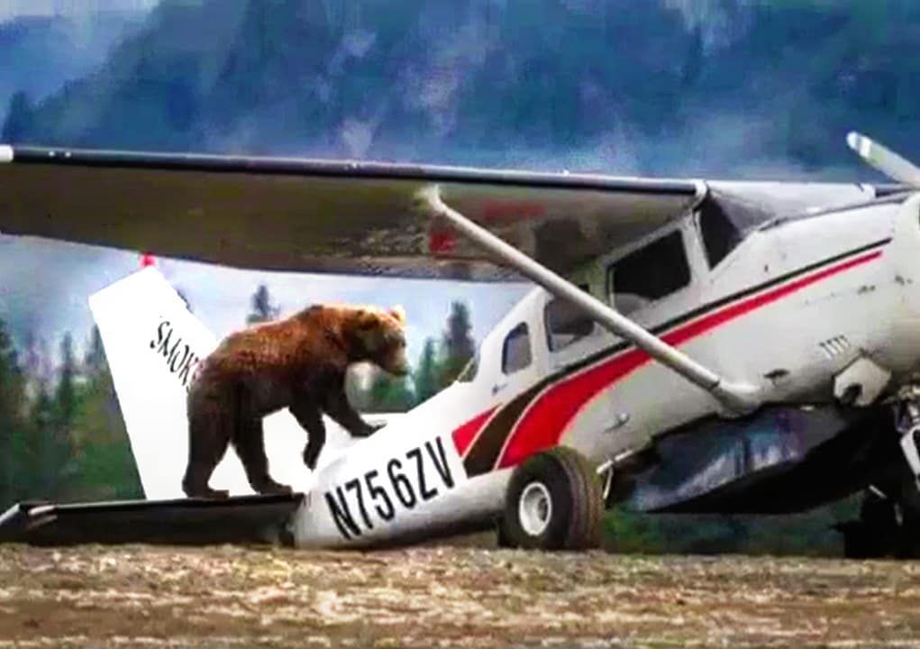 fly8ma's tweet photo. New Alaska🛩️🛫🏞️ VLOG is up: https://t.co/l8mLu3mIOw
.
.
YouTube: FLY8MA ALASKA
#alaska #flightvlog #flighttraining
#fly8ma #flyingalaska #bushplane #bushpilot #stol #bears #brownbear #aviationlovers #avgeek #instaplane #instapilot https://t.co/z80atT12Pw