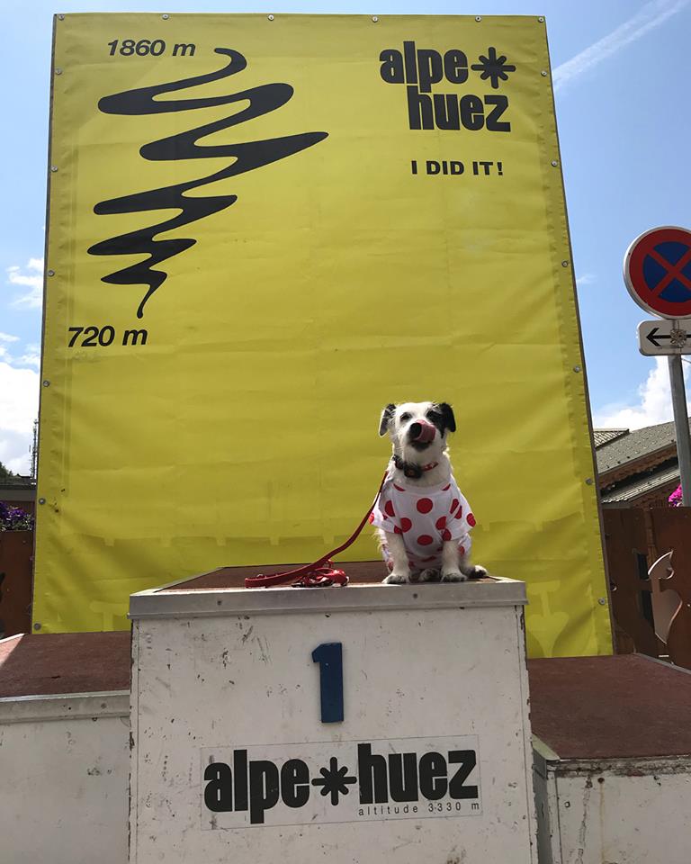 Tour of Britain OSM tweet media