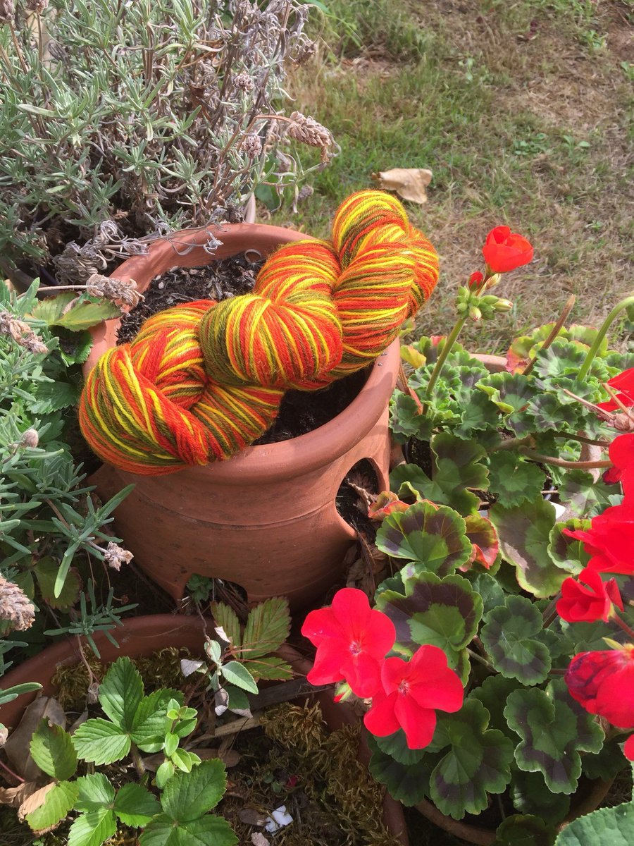 curatorsaurus tweet picture