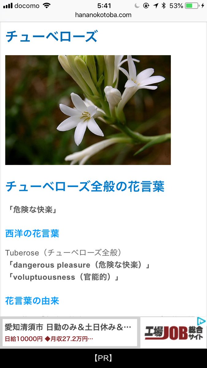 メーたん おいでよ横浜町田 18年 平成30年 9月2日 日曜日 今日は何の日 対日戦勝記念日 Vjデー 連合国各国 くつの日 国慶節 ベトナム 天心忌 グレゴリオ暦で 年始から245日 閏年では246日 年末まで1日 誕生花 花言葉 チューベローズ