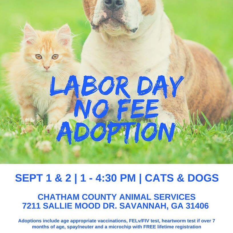 Fins Animal Training (FinsPetTrainers) Twitter