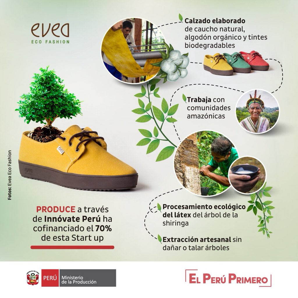 ¡Calzado sostenible elaborado con cuero de caucho! Produce a través de <a href="/InnovatePeru/">Innóvate Perú</a> 🇵🇪 financió este emprendimiento ecológico que promueve la conservación y reforestación de bosques. #DíaDelÁrbol 🌳