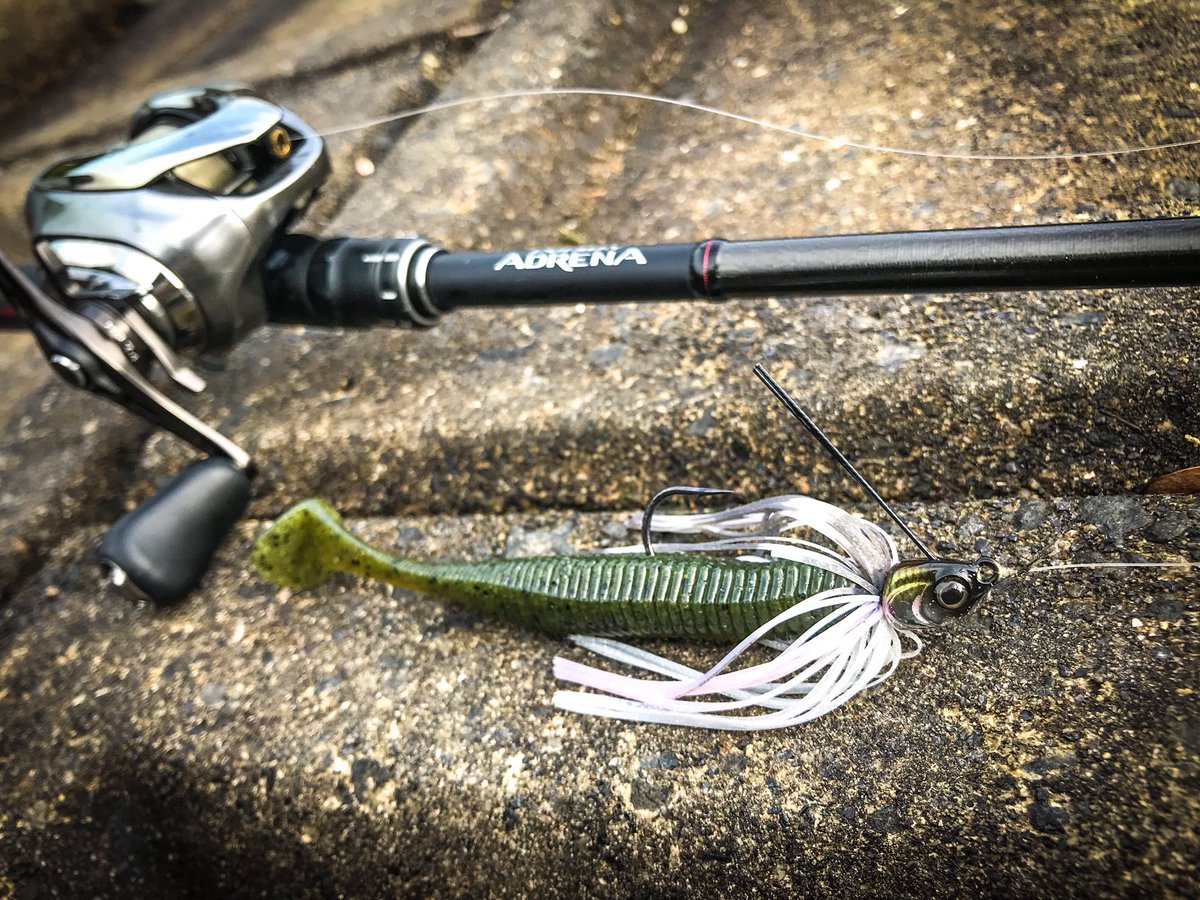 秦拓馬 大漁生活ロケで ドカンと５０アップ ｂクロールスイマー リズム４ ８ アドレナ１７４ｈ ｌｍで投げてる T Co Sjyfm7lhxu Twitter