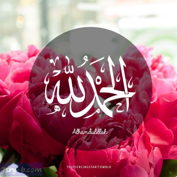 الحمدلله مابين ضحكة وأمان وحياة طيبة🌹الحمدلله دائماً وابدا🌹