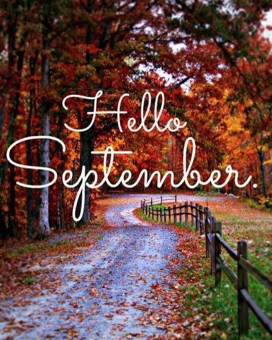 KellyAMurphy_'s tweet photo. It's the first day of the most wonderful time of the year🙌🏼🎃💀🍎🍏🥧🕸👻🧠🍬🖤🕷 (59 days till Halloween) https://t.co/meGUjVZriL