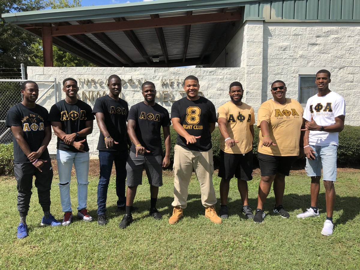 KAMovement's tweet photo. Today, brothers of the Kappa Alpha Chapter of Alpha Phi Alpha Fraternity Inc. partnered with the ladies of the Iota Eta Chapter of Zeta Phi Beta &amp; the ladies of Zeta Chi Chapter of Sigma Gamma Rho to visit the Tuscaloosa Metro Animal Shelter. #GreekUnity #CommunityService https://t.co/lKaALMbHYA