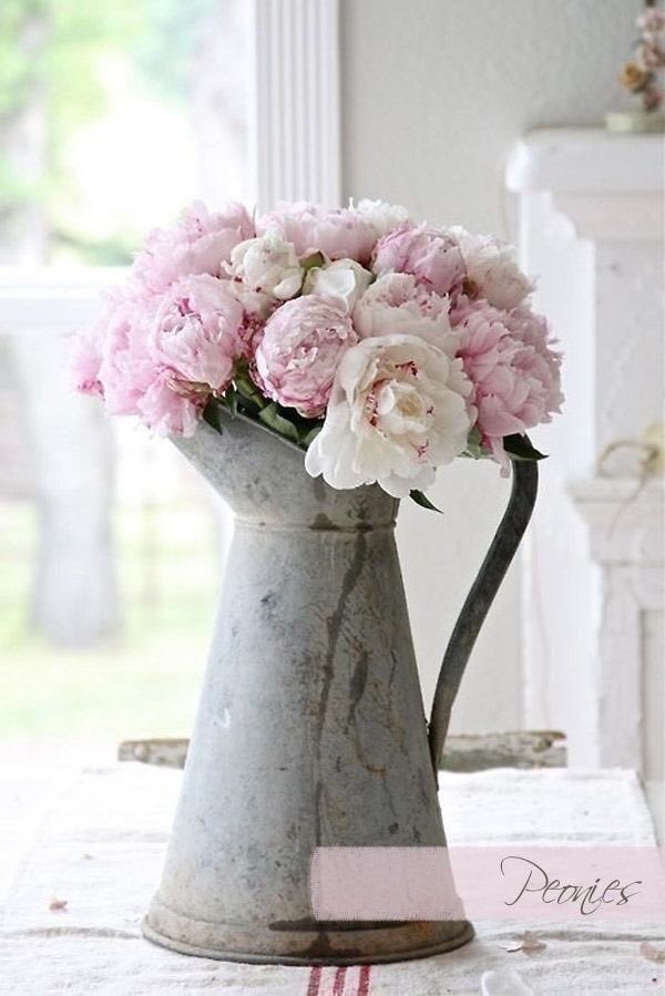 JooliaGuliaa's tweet photo. #FlowerRight https://t.co/OsRq44BmeA